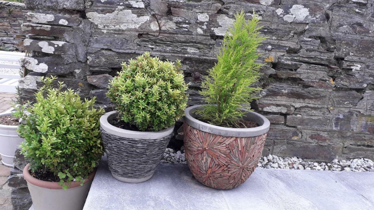 Melorne Farm Bed and Breakfast Camelford Εξωτερικό φωτογραφία